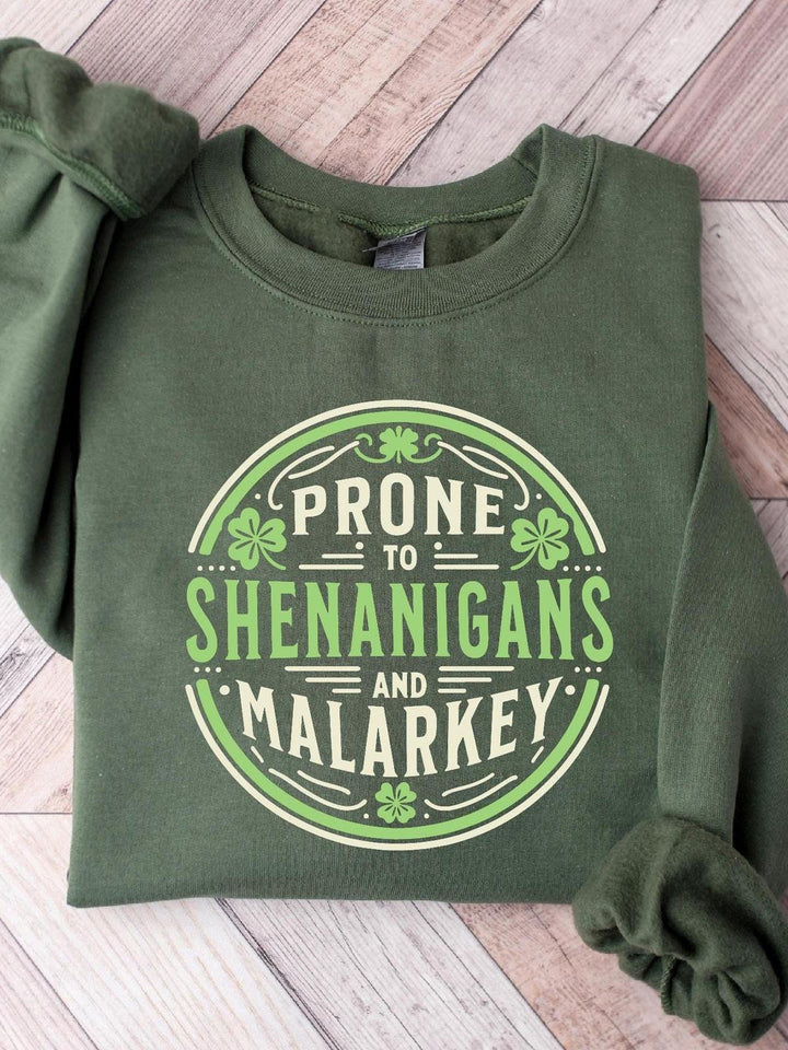 Prone to Shenanigans and Malarkey Printed Long Sleeve Casual Top